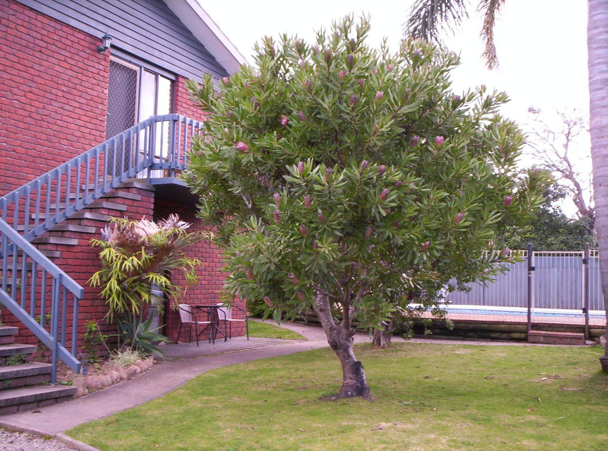 Harbour Lights Holiday Units Merimbula Exterior foto